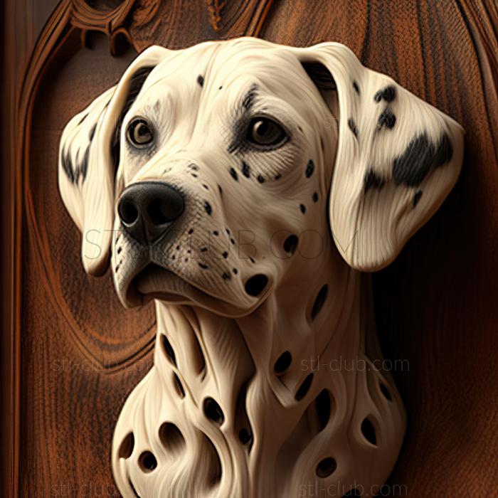 st Dalmatian dog